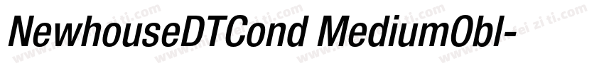 NewhouseDTCond MediumObl字体转换